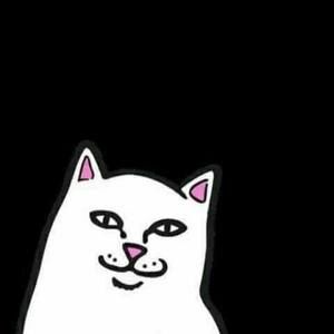 Meet your Posher, Samangi